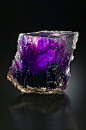 themineralogist:

Halite - back-lit by halogen light to show the purple color tones (13.7 cm)