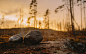 Legends of Karelia : Karelia is one of the most mysterious and amazing places in Russia. Legends and ancient stories walk about these lands. Waterfalls, lakes, textures and fairy tales, be sure to visit here.