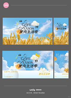 anan0791520采集到主KV