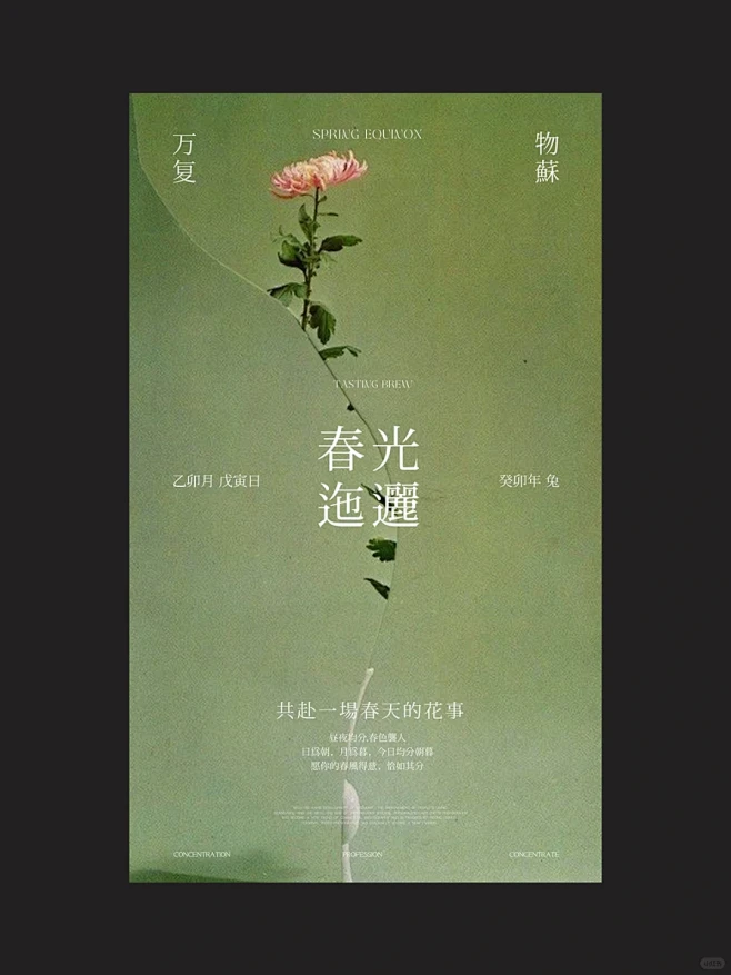 “ins风”极简春分节气新中式国潮平面海...