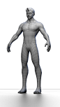 Blender stylized male base mesh retopologized