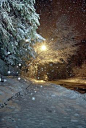 Falling Snow by Night