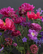 flowers | Katrin Engler ​​​