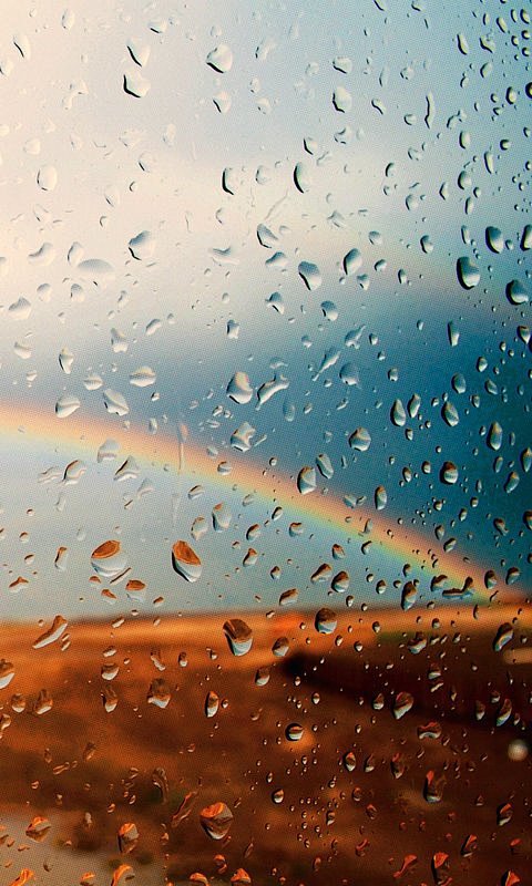 手机壁纸 雨后彩虹