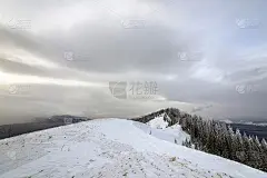冬季的高山景观，雪峰和云杉在阴天的寒冷冬日。