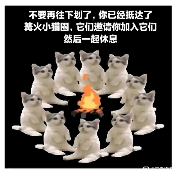 有无这种猫meme_meme图吧_百度贴吧-花瓣网