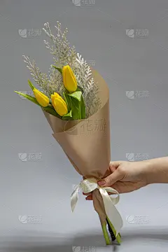 女性手捧着一束极简主义的春天盛开的黄色郁金香，在灰色的背景下，选择性地聚焦