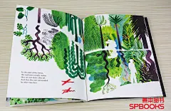 The Forest 森林 英文原版儿童故事艺术绘本 插画童书推荐-tmall.com天猫