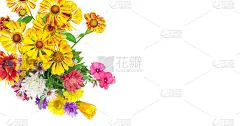 孤立在白色鲜艳的花束上