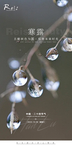 Amelie·Hn采集到中国传统节日 | 24节气