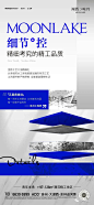 【作品】新希望·湖西映月--精选平面稿赏析03