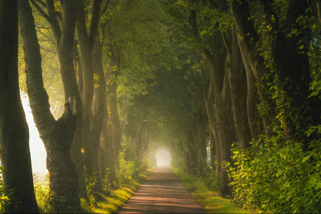 Misty Roads - 风光摄影 -...