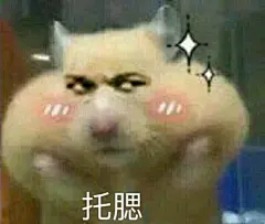【图片】【资源】一系列猫咪【表情包吧】_百度贴吧