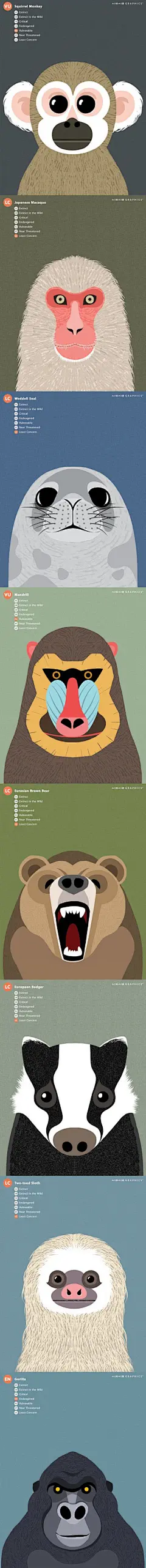 一组呼吁保护动物的海报，左上角的标识意味着这个物种存活量已经到了哪种地步，最上面的是已经灭绝的。