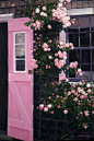 The Pink Door - Siasconset, Nantucket