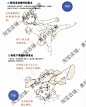 n88 toshi角色生命力动态动作 日式动漫人体结构线稿画法素材参考-淘宝网