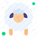 Animal, lamb, sheep,...