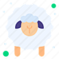 Animal, lamb, sheep, wool, farm