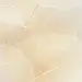 Insta Story Background (Free Download) - Blossom Shine