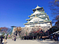 20170424 (1)