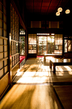 qiaoka采集到雨