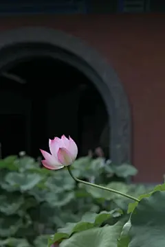 默认专辑 - 堆糖，美图壁纸兴趣社区