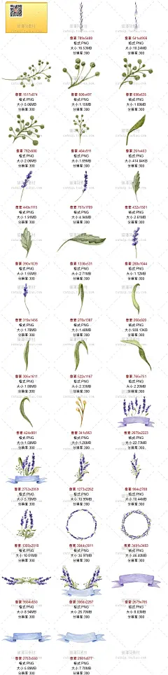 [cm118]紫色浪漫薰衣草花草朵树叶婚礼请柬设计PNG水彩手绘素材-淘宝网