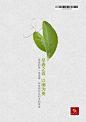 广告-早春茶 - 视觉中国设计师社区
