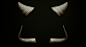 bernhard-van-der-horst-horns-rs-007