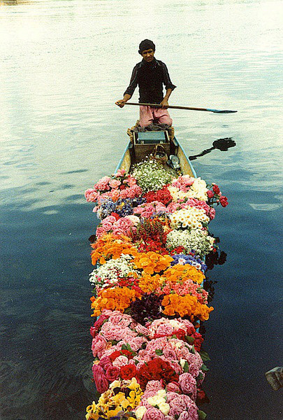 达尔湖(Dal Lake)卖花人，克什米...