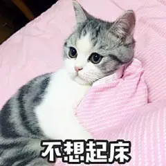 表情包 暴走漫画 文字控 斗图 表情包 金馆长表情包 装逼大神 撩妹 认真斗图，认真搞