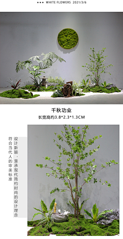 阿魏叶采集到仿真植物