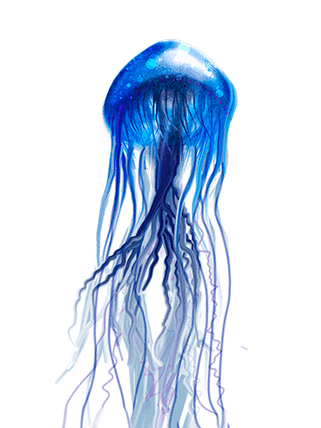 jellyfish_PNG16.png ...