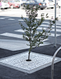 Tree Grates | Heine Jones