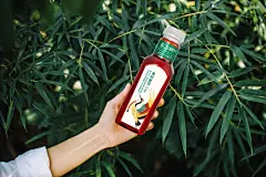 新品的包装上延续了品牌经典插画风格，演绎出中国茶的东方美学。