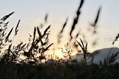 美丽风景高清桌面壁纸-美丽风景高清5k动态壁纸 - 未来Mac下载