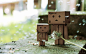 Danboard 纸箱人阿楞随拍壁纸 - Danboard  纸箱人阿楞图片9