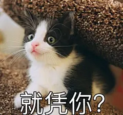 QQ截图20170417131950