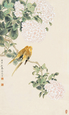 琅玉采集到工笔—花鸟