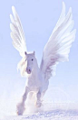 Pegasus by GRAPHICSOUL.deviantart.com on @DeviantArt
