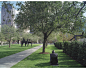 Nasher Sculpture Center-11