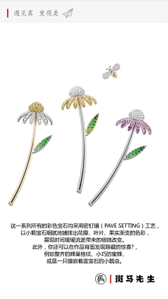 yunhoxi采集到Brooch