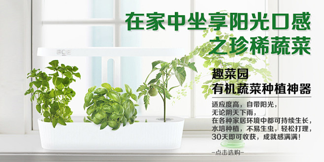有机蔬菜水培种植神器LED技术智能光控无...