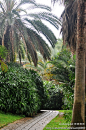 一人的山野：雨中的万石植物园, 东海边的蚬子旅游攻略