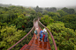 “魔法森林”上“梦幻浮桥”----康斯坦博西植物园树冠走廊Tree Canopy Walkway at Kirstenbosch / mta