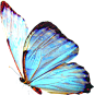 c3fd6b7586f49bfa8dca92a232c1b193dcf852d824e74-uL8bkf