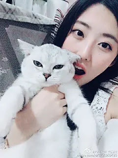 二期生出道三周年快乐～
想说的今天公演mc也说了
我们不孤单，因为一直有你们在
感谢生命中的过客，相遇都是缘分
更感谢从我生命中路过却愿意为我停留的你们
虽然老爱怼你们，被你们说刻薄
但是心里还是爱你们的...展开全文c