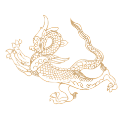 辉少传媒采集到龙