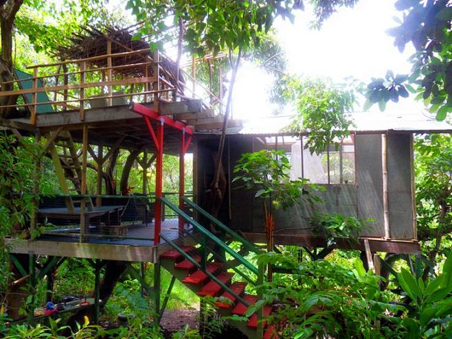 TreeHousesofHawaii