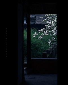 xxuanxxx采集到园林庭院